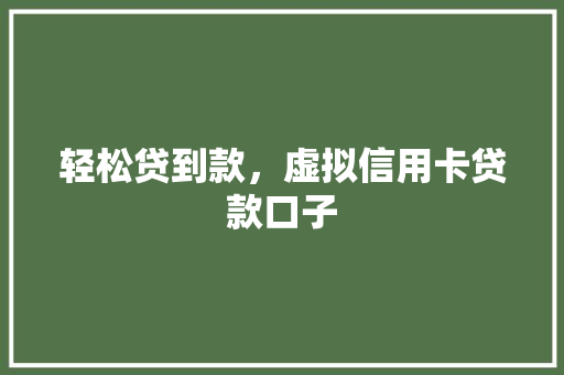 轻松贷到款，虚拟信用卡贷款口子