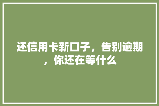 还信用卡新口子，告别逾期，你还在等什么