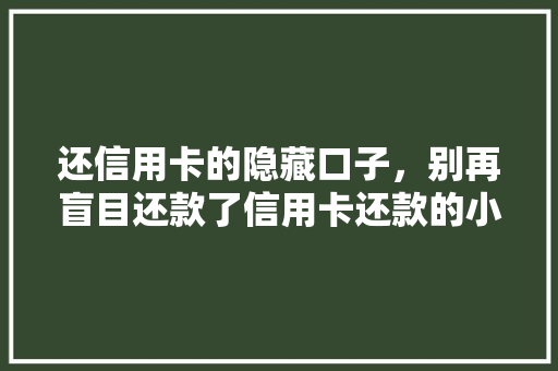还信用卡的隐藏口子，别再盲目还款了信用卡还款的小方法