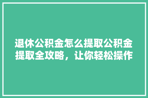 退休公积金怎么提取公积金提取全攻略，让你轻松操作