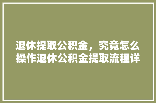 退休提取公积金，究竟怎么操作退休公积金提取流程详解