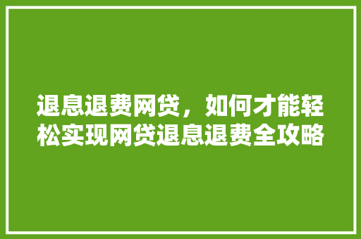 退息退费网贷，如何才能轻松实现网贷退息退费全攻略