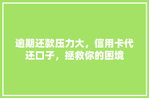 逾期还款压力大，信用卡代还口子，拯救你的困境