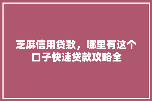 芝麻信用贷款，哪里有这个口子快速贷款攻略全