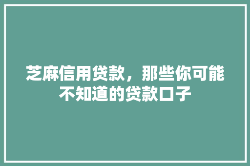 芝麻信用贷款，那些你可能不知道的贷款口子