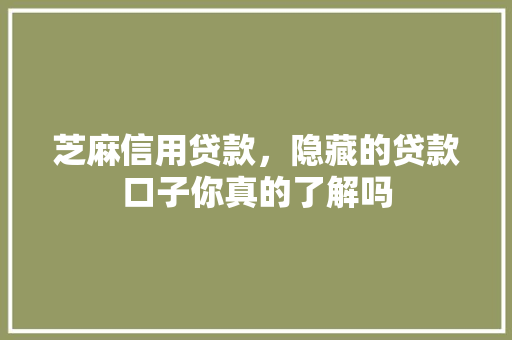 芝麻信用贷款，隐藏的贷款口子你真的了解吗