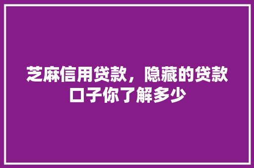 芝麻信用贷款，隐藏的贷款口子你了解多少