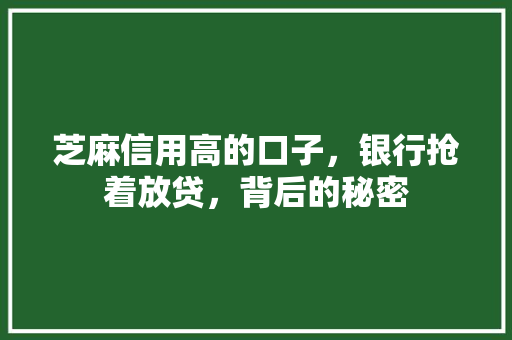 芝麻信用高的口子，银行抢着放贷，背后的秘密
