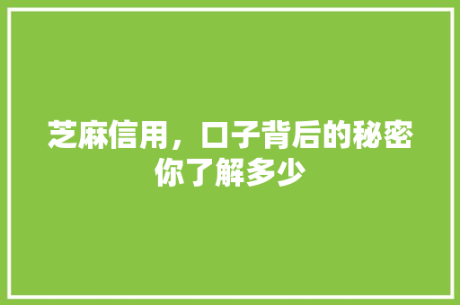 芝麻信用，口子背后的秘密你了解多少