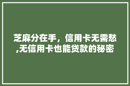 芝麻分在手，信用卡无需愁,无信用卡也能贷款的秘密
