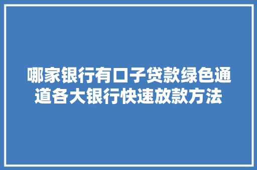哪家银行有口子贷款绿色通道各大银行快速放款方法