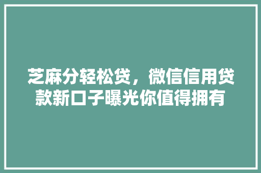 芝麻分轻松贷，微信信用贷款新口子曝光你值得拥有