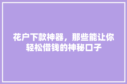 花户下款神器，那些能让你轻松借钱的神秘口子
