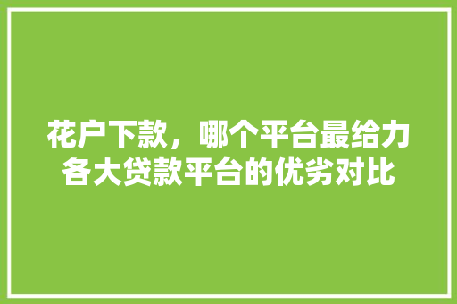 花户下款，哪个平台最给力各大贷款平台的优劣对比