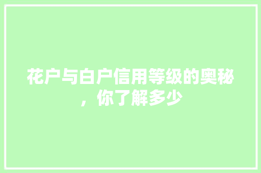 花户与白户信用等级的奥秘，你了解多少