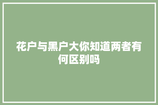 花户与黑户大你知道两者有何区别吗