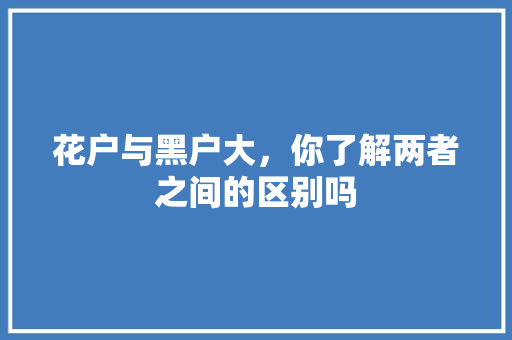 花户与黑户大，你了解两者之间的区别吗