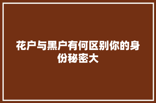 花户与黑户有何区别你的身份秘密大