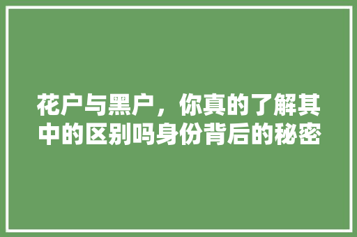 花户与黑户，你真的了解其中的区别吗身份背后的秘密