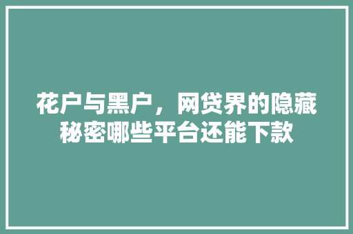 花户与黑户，网贷界的隐藏秘密哪些平台还能下款