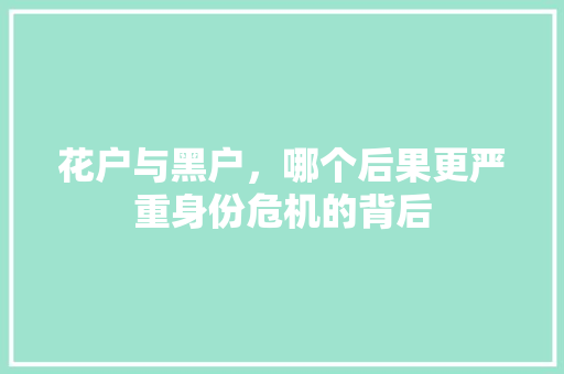 花户与黑户，哪个后果更严重身份危机的背后