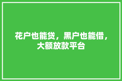 花户也能贷，黑户也能借，大额放款平台