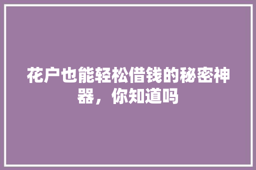 花户也能轻松借钱的秘密神器，你知道吗