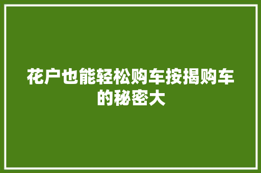 花户也能轻松购车按揭购车的秘密大
