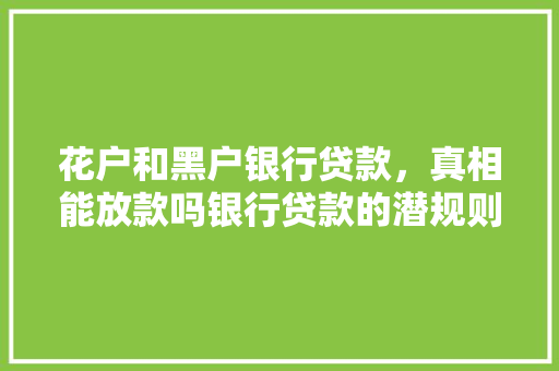 花户和黑户银行贷款，真相能放款吗银行贷款的潜规则与风险