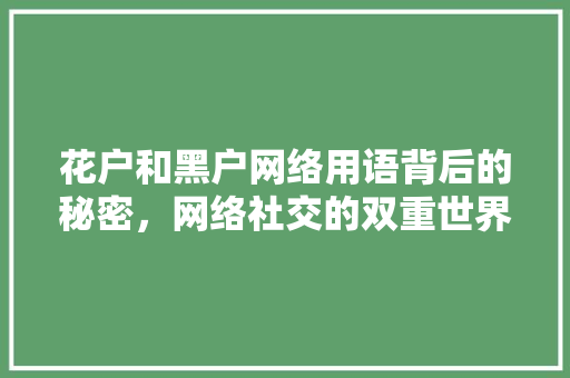 花户和黑户网络用语背后的秘密，网络社交的双重世界