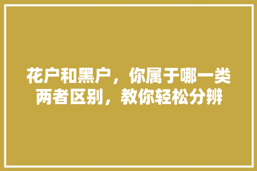 花户和黑户，你属于哪一类两者区别，教你轻松分辨