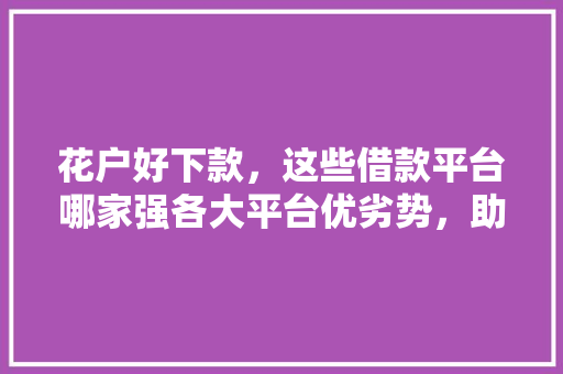 花户好下款，这些借款平台哪家强各大平台优劣势，助你轻松借到钱