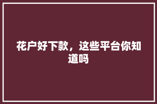 花户好下款，这些平台你知道吗