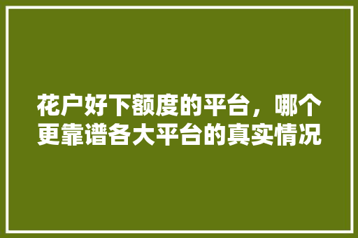 花户好下额度的平台，哪个更靠谱各大平台的真实情况