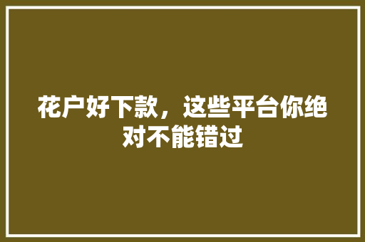 花户好下款，这些平台你绝对不能错过