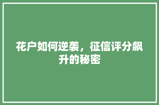 花户如何逆袭，征信评分飙升的秘密