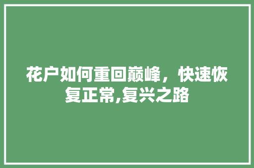 花户如何重回巅峰，快速恢复正常,复兴之路