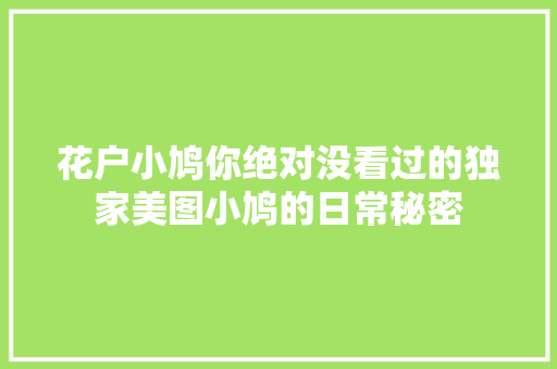 花户小鸠你绝对没看过的独家美图小鸠的日常秘密