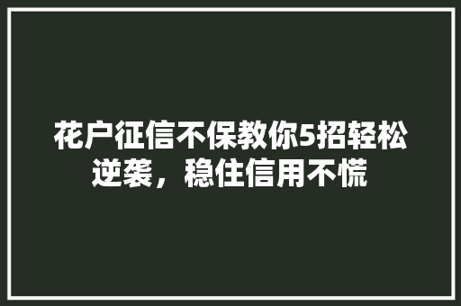 花户征信不保教你5招轻松逆袭，稳住信用不慌