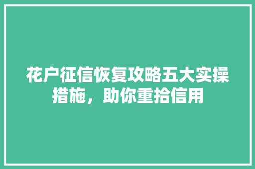 花户征信恢复攻略五大实操措施，助你重拾信用