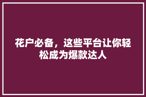 花户必备，这些平台让你轻松成为爆款达人