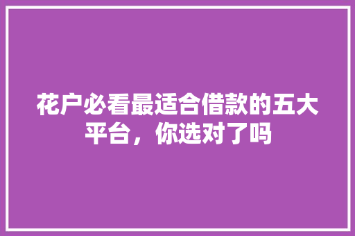 花户必看最适合借款的五大平台，你选对了吗