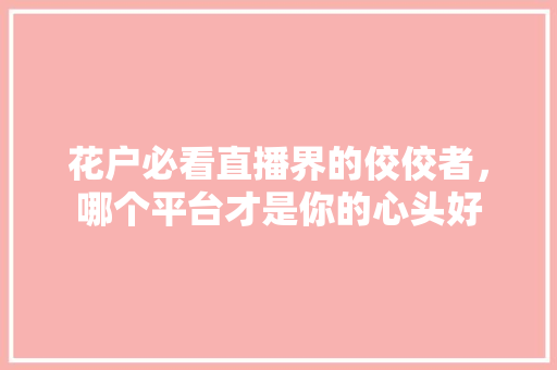 花户必看直播界的佼佼者，哪个平台才是你的心头好