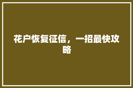 花户恢复征信，一招最快攻略
