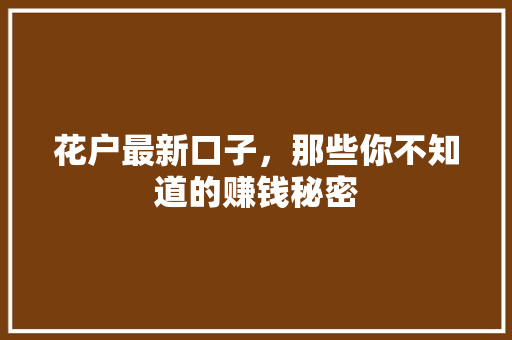 花户最新口子，那些你不知道的赚钱秘密