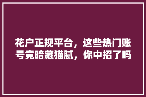 花户正规平台，这些热门账号竟暗藏猫腻，你中招了吗