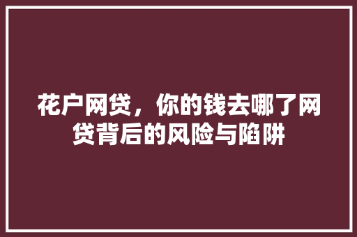 花户网贷，你的钱去哪了网贷背后的风险与陷阱