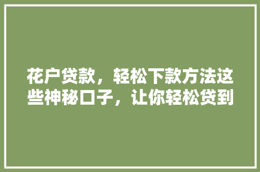 花户贷款，轻松下款方法这些神秘口子，让你轻松贷到款  第1张