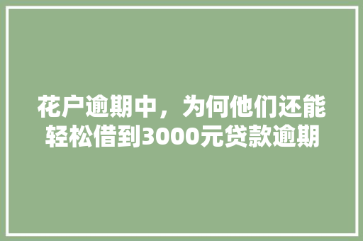 花户逾期中，为何他们还能轻松借到3000元贷款逾期贷款背后的秘密