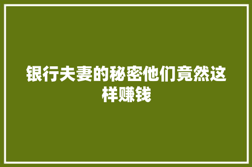 银行夫妻的秘密他们竟然这样赚钱